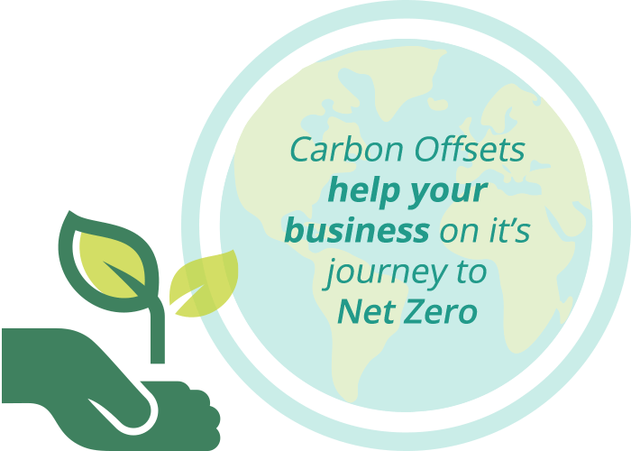 Carbon Offsetting Solutions from Renewable Hub
